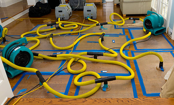 Professional Crawl Space Water Removal technician working in Sheridan, MI